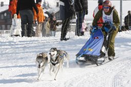 Lenk 2012 SM